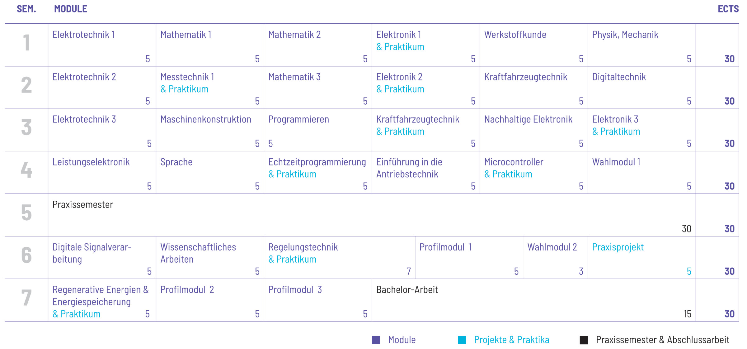 Studienplan Vorschau