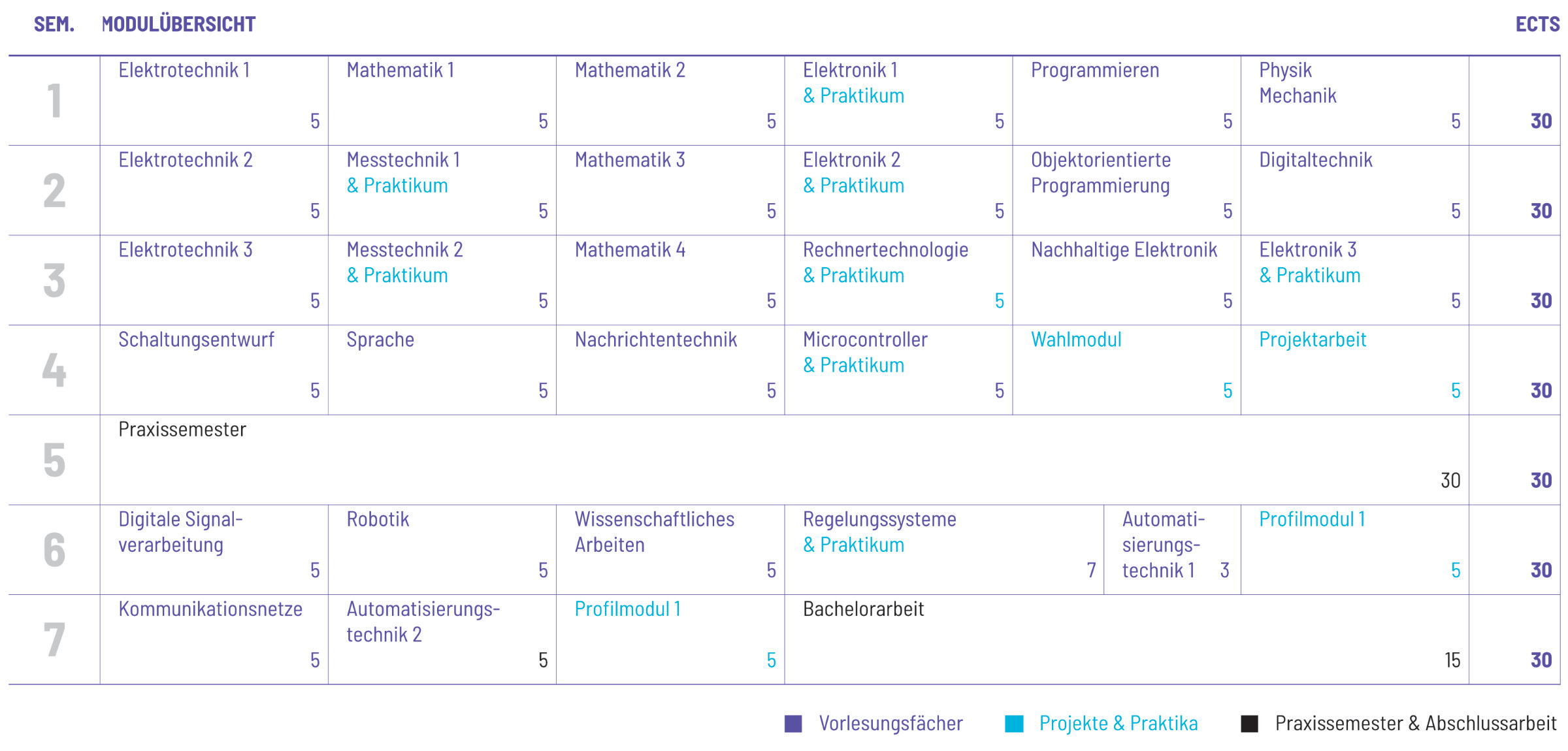 Studienplan Vorschau