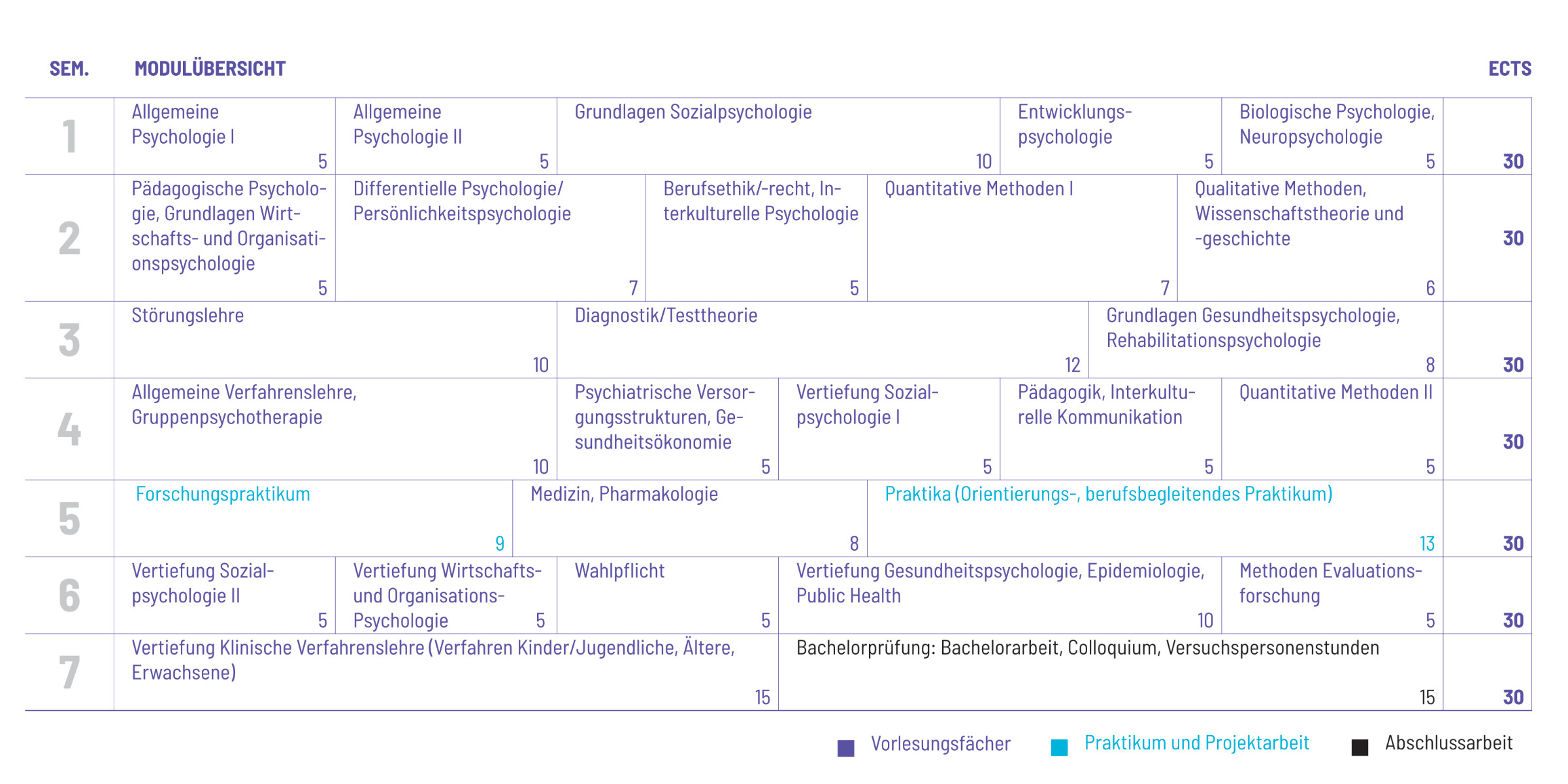 Studienplan Vorschau