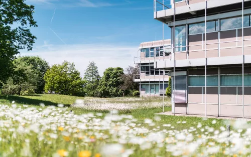 RWU-Hauptgebäude neben einer Wiese voller Wildblumen, umgeben von Bäumen unter einem klaren blauen Himmel.