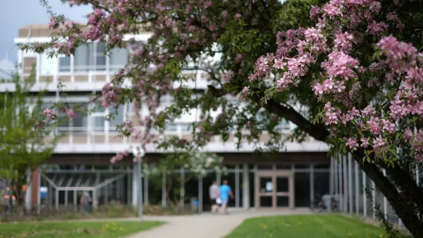 H-Gebäude mit Kirschbaum im Vordergrund.